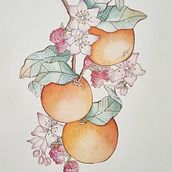 My project for course: Artistic Techniques for Illustrating Nature. Un proyecto de Ilustración tradicional, Pintura a la acuarela, Pintura acrílica, Ilustración botánica, Ilustración con tinta y Dibujo con lápices de colores de Cathy Boheas - 07.07.2023