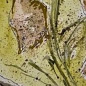 My project for course: Illustrating Nature with Watercolor and Pen. Traditional illustration, Fine Arts, Painting, Drawing, Watercolor Painting, and Botanical Illustration project by Patricia Czichos - 07.08.2023