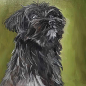 Mi proyecto del curso: Retrato realista de mascotas con pintura al óleo. Projekt z dziedziny  Sztuki piękne,  Malarstwo, Malarstwo olejowe, Ilustracja naturalist, czna, Malarstwo akr i lowe użytkownika Laura Verónica - 09.07.2023
