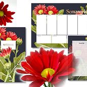 Mein Abschlussprojekt für den Kurs: Botanische Illustration mit Wasserfarben. Traditional illustration, Fine Arts, Painting, Drawing, Watercolor Painting, and Botanical Illustration project by Anna Rudolph - 07.09.2023