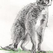 My project for course: Animal Illustration with Charcoal and Ink. Fine Arts, Drawing, Ink Illustration, and Naturalistic Illustration project by Katherine Hall - 07.09.2023
