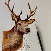 Mein Abschlussprojekt für den Kurs: Ausdrucksstarke Tierporträts in Aquarell. Traditional illustration, Watercolor Painting, Realistic Drawing, and Naturalistic Illustration project by michaela_lammers1972 - 07.04.2023
