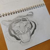 Illustrazione di una tigre che ruggisce . % Leonardo Shinozaki tarafından hazırlanan Geleneksel illüstras, on, Ve Tasarım projesi - 10.02.2018