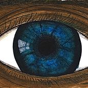 My project. Un proyecto de Bellas Artes, Pintura, Pintura a la acuarela, Ilustración naturalista				 y Pintura gouache de Jose María Baca Aguirre - 07.07.2023