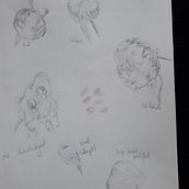 My project for course: Botanical Sketchbooking: A Meditative Approach. Traditional illustration, Sketching, Drawing, Watercolor Painting, Botanical Illustration, and Sketchbook project by Meg - 07.10.2023