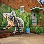 Mural art painted for a School in Sydney. Un proyecto de Arte urbano de Brode Compton - 10.07.2023
