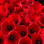 Travel adventure . Fotografie de Duerler - 07.10.2023