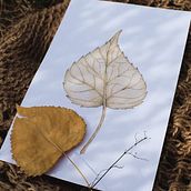 My project for course: Illustrating Nature with Watercolor and Pen. Traditional illustration, Fine Arts, Painting, Drawing, Watercolor Painting, and Botanical Illustration project by Alina Bnst - 07.09.2023