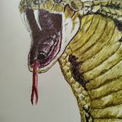 Mi proyecto del curso: Ilustración en sketchbook con bolígrafo: disfruta dibujando. Sketching, Drawing, Sketchbook & Ink Illustration project by Alfredo Lopez Lujan - 07.11.2023
