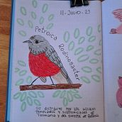 Mi proyecto del curso: Diario ilustrado: una práctica diaria y consciente Ein Projekt aus dem Bereich Bildende Künste, Skizzenentwurf, Kreativität, Zeichnung und Sketchbook von nataliapizarrotello79 - 11.07.2023