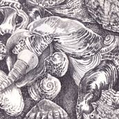 Beach Finds. Projekt z dziedziny Trad, c, jna ilustracja, R i sunek ołówkiem użytkownika anne bateman - 12.07.2023