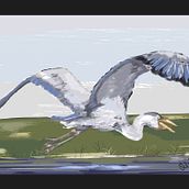 Birds. Traditional illustration project by Olga - 01.01.2023