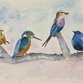 My project for course: Artistic Watercolor Techniques for Illustrating Birds. Traditional illustration, Watercolor Painting, and Naturalistic Illustration project by ballads-wallop.0b - 07.12.2023