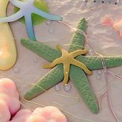 STARFISH. 3D, 3D Animation, 3D Modeling, and 3D Design project by Veronika Kovtsur - 07.11.2023
