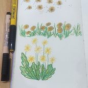 My project for course: Creative Drawing Techniques for Beginners. Un proyecto de Diseño, Ilustración tradicional, Dibujo a lápiz y Dibujo de Teresa Figueiredo - 14.07.2023