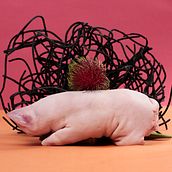Mi proyecto del curso: Food styling y fotografía para Instagram. Photograph, Social Media, Photo Retouching, Mobile Photograph, Product Photograph, Digital Photograph, Food Photograph, Instagram Photograph, Lifest, le Photograph, Food St, and ling project by Valeria Montserrat Lezama Carbajal - 07.14.2023