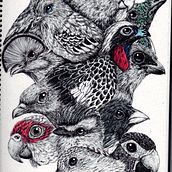 Birbtober. Ilustração tradicional projeto de Vanessa Marella - 15.07.2023