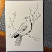 My project for course: Realistic Illustration of Birds with Imaginative Elements. Pencil Drawing, Drawing, Ink Illustration, and Naturalistic Illustration project by rephrayzer - 07.16.2023