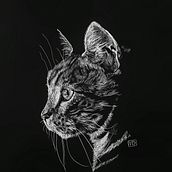 Scratchboard kitty . Traditional illustration, Fine Arts, Drawing, Ink Illustration, Naturalistic Illustration, and Engraving project by Yaiza - 07.18.2023