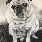 "Sadie" Charcoal portrait  Ein Projekt aus dem Bereich Bildende Künste, Zeichnung und Porträtzeichnung von Amy Pate - 18.07.2023
