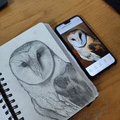 Realismo animale . Traditional illustration, and Pencil Drawing project by serena - 07.18.2023