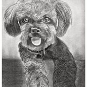 Mi proyecto del curso: Ilustración de animales con carboncillo y tinta. Artes plásticas, Desenho, Ilustração com tinta e Ilustração naturalista projeto de Igor Seva Conde - 18.07.2023