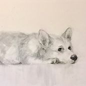 My project for course: Expressive Drawing with Charcoal. Fine Arts, Drawing, Portrait Drawing, and Naturalistic Illustration project by minukrichards - 07.13.2023
