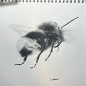 My project for course: Expressive Animal Portraits in Watercolor. Traditional illustration, Watercolor Painting, Realistic Drawing, and Naturalistic Illustration project by Lizzii Bowman - 07.19.2023