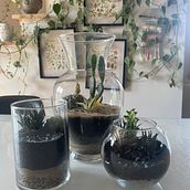 Mon projet du cours : Art végétal : créez votre terrarium ouvert . Interior Design, L, scape Architecture, Decoration, DIY, Floral, and Plant Design project by Claudia CT - 07.20.2023