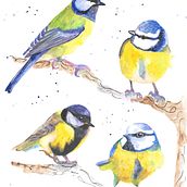 Mon projet du cours : Techniques artistiques d'aquarelle pour illustrer les oiseaux. Traditional illustration, Watercolor Painting, Realistic Drawing, and Naturalistic Illustration project by Blandine TORIS - 06.15.2023