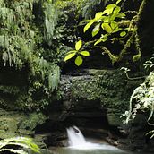 Mi proyecto del curso: Fotografía para principiantes.  AMAZONAS ECUADOR. . Fotografie, Fotografie digitală, Compoziție fotografică și Fotografie de artă plastică de Esteban Apablaza Hormazabal - 07.19.2023