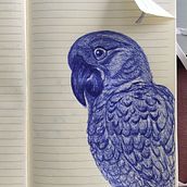 Perroquet au stylo. Naturalistic Illustration project by mathildehuet92 - 01.11.2021