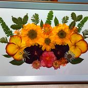 Composiciones mixtas . Ilustrasi Botani proyek oleh Yoani Muñoz - 07.18.2023