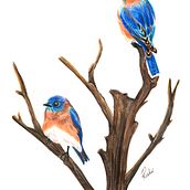 Bluebirds in Watercolor. Un progetto di Artigianato, Belle arti, Pittura ad acquerello e Pittura di Roshni Mehta - 22.07.2023