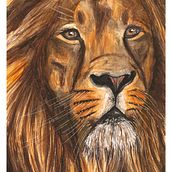 Lion in Watercolor. Un progetto di Artigianato, Belle arti, Pittura ad acquerello e Pittura di Roshni Mehta - 22.07.2023