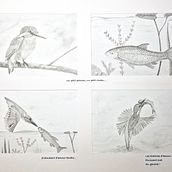 Mon projet du cours : Techniques d’illustration artistique au graphite. Un projet de Illustration traditionnelle, Beaux Arts, Dessin au cra, on, Dessin, Dessin artistique et Illustration éditoriale de Bruno Parmentier - 20.07.2023