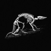 Ajude antes que seja tarde. Advertising project by Ricardo Hurmus - 07.19.2023