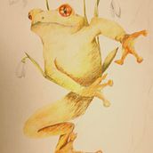 Frog. Traditional illustration project by Karola Kruk - 04.10.2023