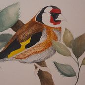 Mi proyecto del curso: Acuarela con detalles en filigrana y toques metálicos Ein Projekt aus dem Bereich Traditionelle Illustration, Malerei, Aquarellmalerei, Botanische Illustration, Naturalistische Illustration und Dekoratives Malen von David Cano - 24.07.2023