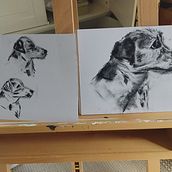 My project for course: Animal Illustration with Charcoal and Ink. Furry Family . Un proyecto de Bellas Artes, Dibujo, Ilustración con tinta e Ilustración naturalista				 de slouiser - 24.07.2023