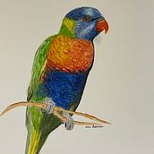My project for course: Naturalist Bird Illustration with Watercolors. Traditional illustration, Watercolor Painting, Realistic Drawing, and Naturalistic Illustration project by Lizzii Bowman - 07.25.2023