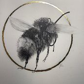 "Bee with Bling". Un proyecto de Dibujo artístico, Ilustración naturalista				, Creatividad y Dibujo realista de Joni Postlewaite - 27.07.2023