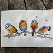 Mon projet du cours : Techniques artistiques d'aquarelle pour illustrer les oiseaux. Un progetto di Illustrazione tradizionale, Pittura ad acquerello, Disegno realistico e Illustrazione naturalistica di anacaona83 - 27.07.2023