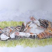 Relaxte kat met aquarelpotloden en inkt Ein Projekt aus dem Bereich Traditionelle Illustration von Joan Brons - 27.07.2023