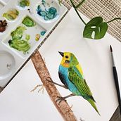 Tangara multicolor proyecto final acuarela. Traditional illustration, Watercolor Painting, Realistic Drawing, and Naturalistic Illustration project by Diana Pinto - 07.27.2023