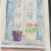 My project for course: Illustrating Nature: A Creative Exploration. Un progetto di Illustrazione tradizionale, Pittura, Disegno, Pittura ad acquerello, Illustrazione con inchiostro e Illustrazione naturalistica di flannygranny - 23.08.2023