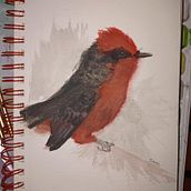 Curso: Acuarela naturalista con expresión y personalidad. Traditional illustration, Watercolor Painting, and Naturalistic Illustration project by Shirley Jasive Martínez Wong - 07.29.2023
