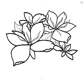 Meu projeto do curso: Desenho de tatuagem blackwork . Ilustrație tradițională, Ilustrație digitală și Design tatuaj de Yasmin Harumi Furuta Alves - 07.27.2023