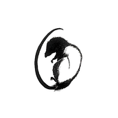 Reencarnación. Un progetto di Scrittura, Stor, telling e Narrativa di aniastorr - 30.07.2021