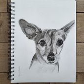Dessins. Arts, Crafts, Painting, and Drawing project by Anne Martin - 07.31.2023